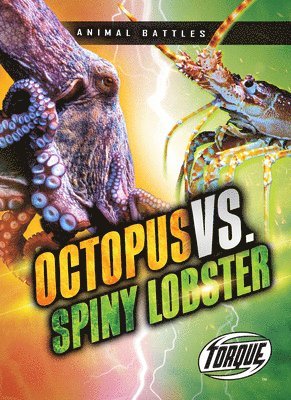 Octopus vs. Spiny Lobster 1