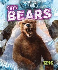 bokomslag Cave Bears