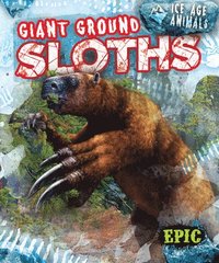 bokomslag Giant Ground Sloths