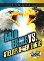 bokomslag Bald Eagle vs. Steller's Sea Eagle