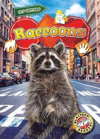 bokomslag Raccoons