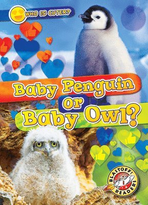 Baby Penguin or Baby Owl? 1