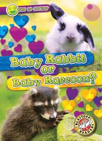 bokomslag Baby Rabbit or Baby Raccoon?