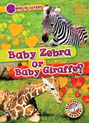 bokomslag Baby Zebra or Baby Giraffe?