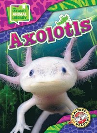 bokomslag Axolotls