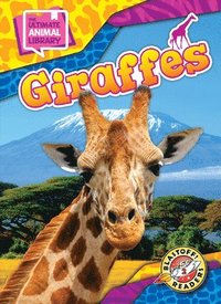 bokomslag Giraffes