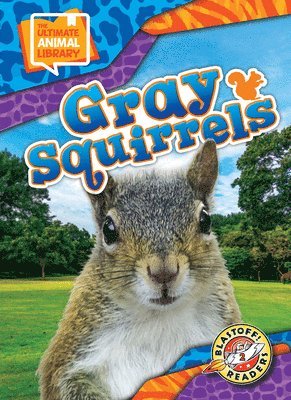 Gray Squirrels 1