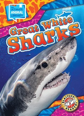 Great White Sharks 1