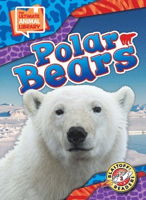 bokomslag Polar Bears