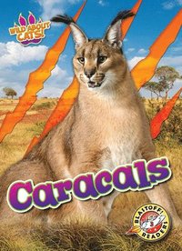 bokomslag Caracals