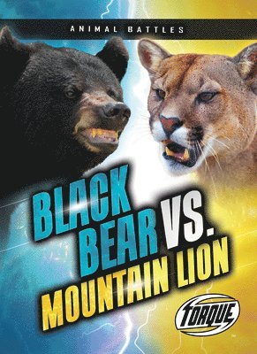 bokomslag Sommer, N: Black Bear vs. Mountain Lion