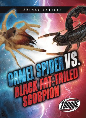 bokomslag Camel Spider vs. Black Fat-Tailed Scorpion