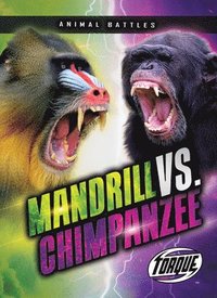 bokomslag Mandrill vs. Chimpanzee