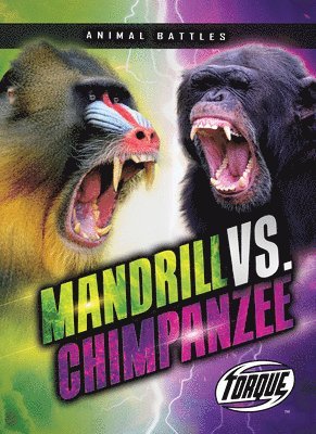 bokomslag Mandrill vs. Chimpanzee