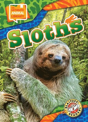 bokomslag Sloths