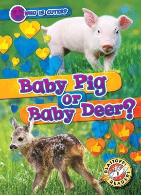 Baby Pig or Baby Deer?