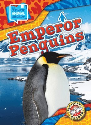 Emperor Penguins