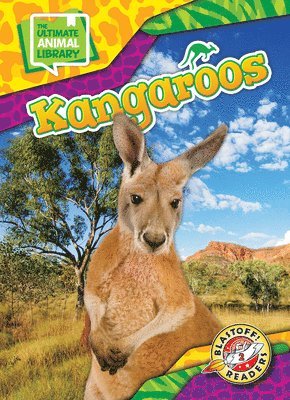 Janie Scheffer - Kangaroos, Inbunden
