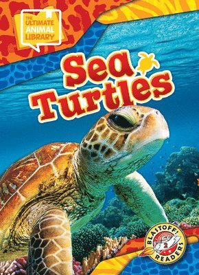 Sea Turtles