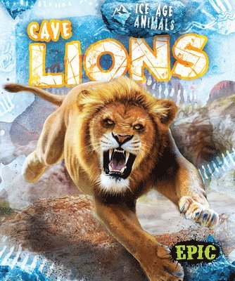 Elizabeth Neuenfeldt - Cave Lions, Inbunden