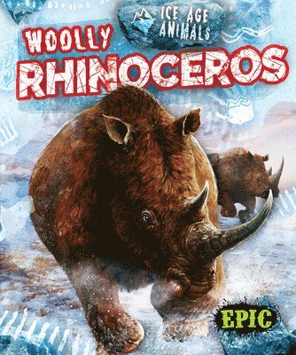 Elizabeth Neuenfeldt - Woolly Rhinoceros, Inbunden