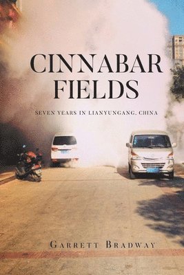 bokomslag Cinnabar Fields Seven Years in Lianyungang, China