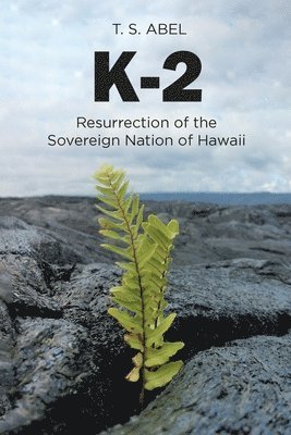 bokomslag K-2