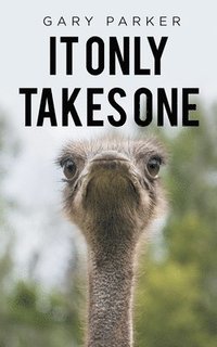 bokomslag It Only Takes One