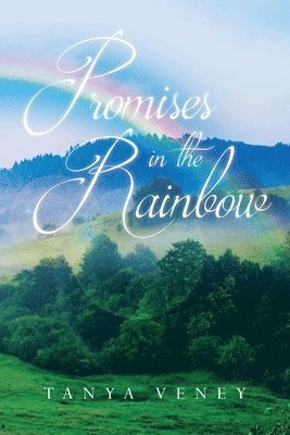 bokomslag Promises in the Rainbow