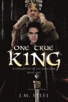 bokomslag One True King