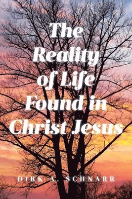 bokomslag The Reality of Life Found in Christ Jesus