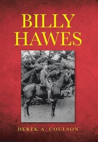 bokomslag Billy Hawes