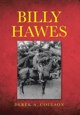 bokomslag Billy Hawes