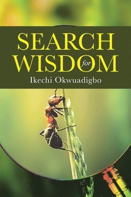 Search for Wisdom 1