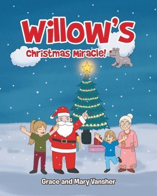 bokomslag Willow's Christmas Miracle!