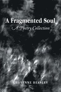 bokomslag Fragmented Soul