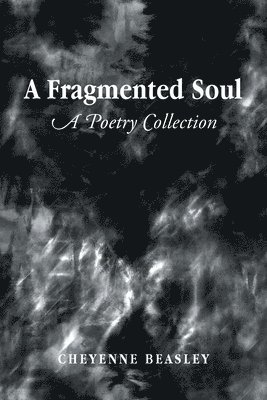 bokomslag Fragmented Soul
