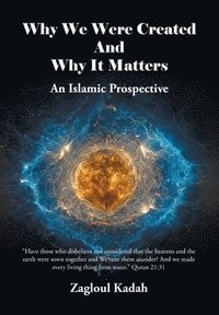 bokomslag Why We Were Created And Why It Matters