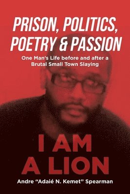 bokomslag Prison, Politics, Poetry and Passion: One Man's Life before and after a Brutal Small Town Slaying