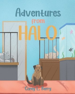 bokomslag Adventures from Halo