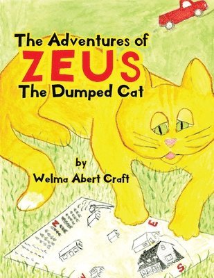 The Adventures of Zeus the Dumped Cat 1