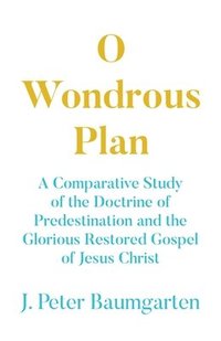 bokomslag O Wondrous Plan