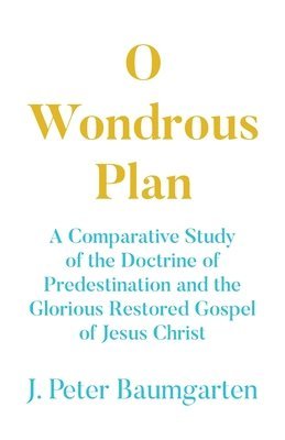 bokomslag O Wondrous Plan