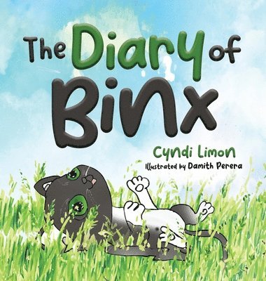 bokomslag The Diary of Binx