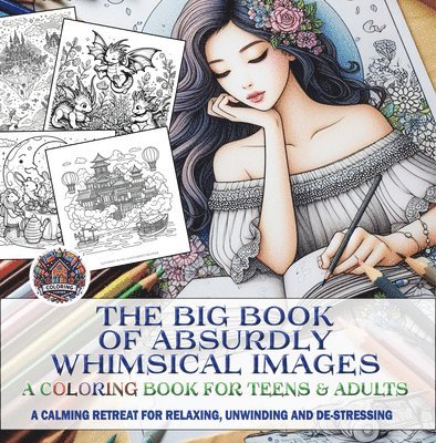 The Big Book of Absurdly Whimsical Images: A Coloring Book for Teens & Adults 1