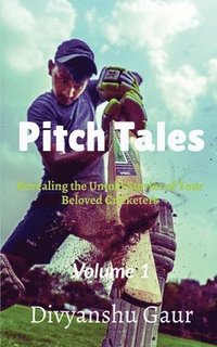 bokomslag Pitch Tales