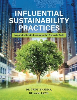 bokomslag Influential Sustainability Practices