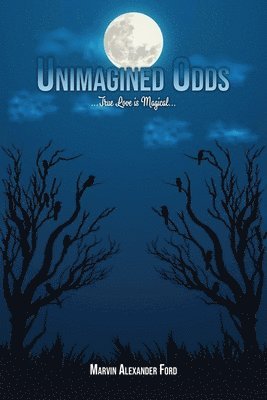 bokomslag Unimagined Odds