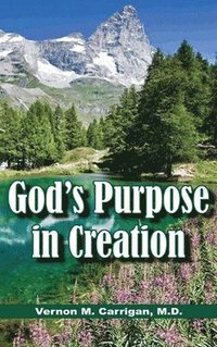 bokomslag God's Purpose in Creation