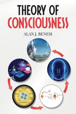 bokomslag Theory of Consciousness